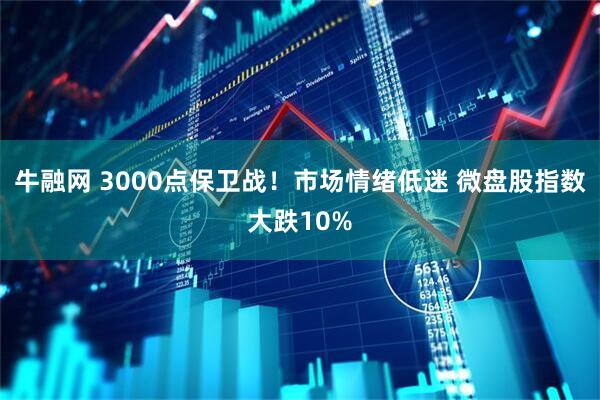 牛融网 3000点保卫战！市场情绪低迷 微盘股指数大跌10%